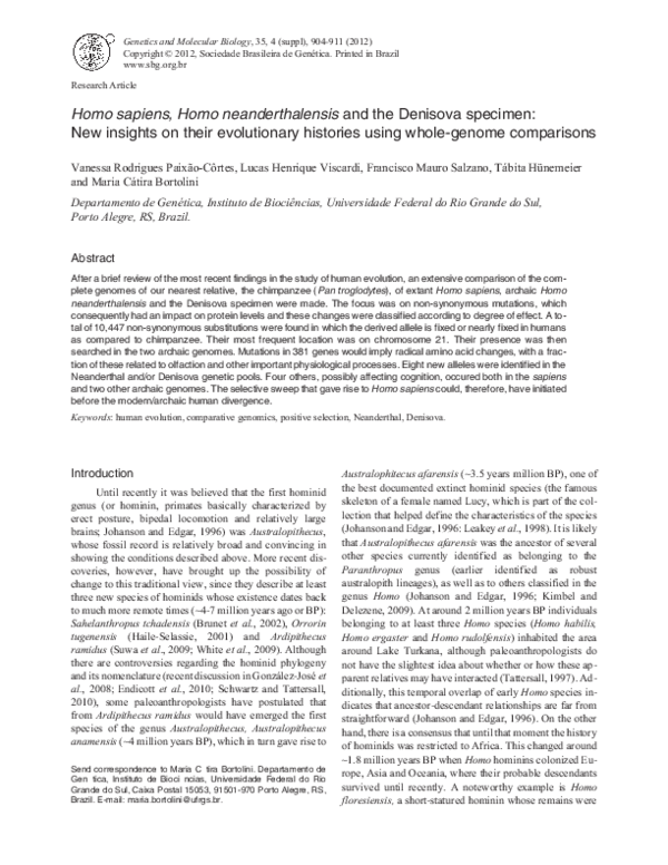 Anatomically modern humans picture