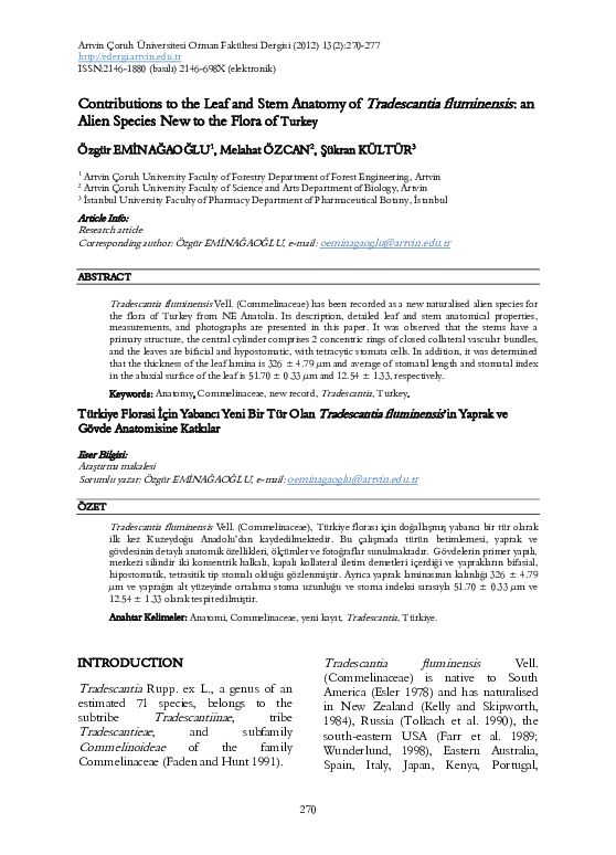 Pdf Contributions To The Leaf And Stem Anatomy Of Tradescantia Fluminensis An Alien Species New To The Flora Of Turkey Ozgur Eminagaoglu Academia Edu