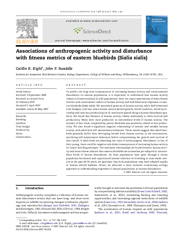 new balance 737 bluebird