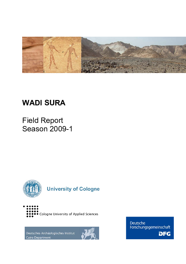 (PDF) Kuper, R., H. Riemer & F. Förster (2009), Report on the first ...