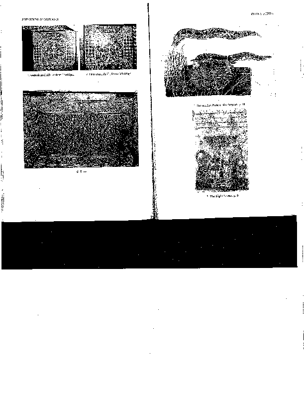 Thesis about iconoclasm 02 picture