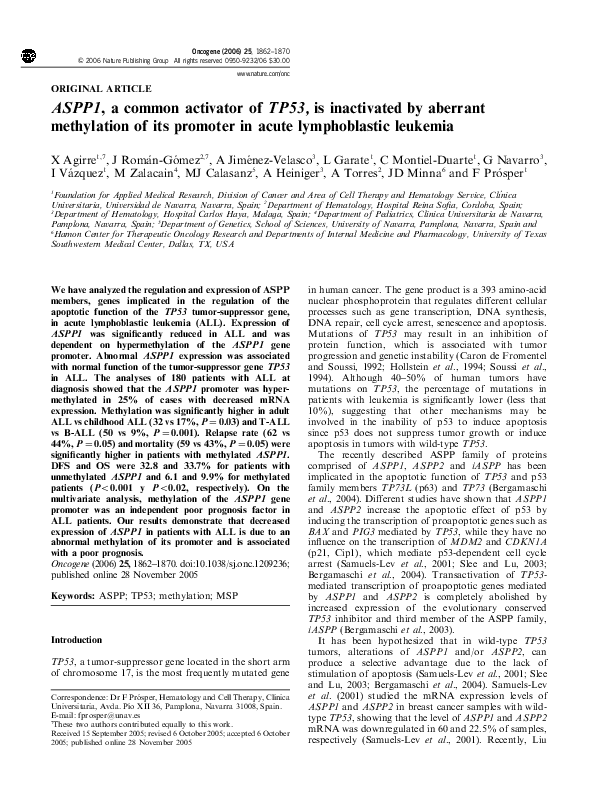 Essay activator pdf picture