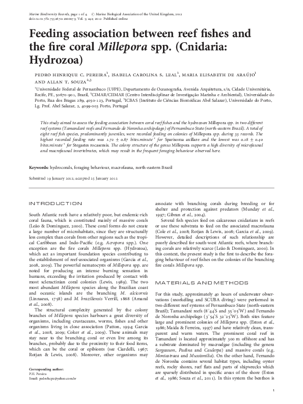Cnidaria characteristics picture