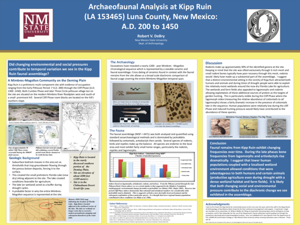 Luna county essay picture