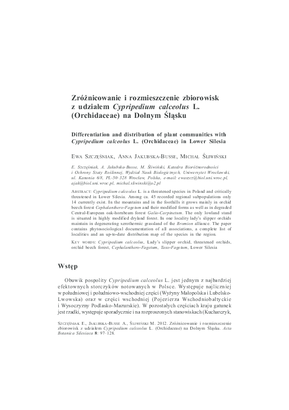 Cypripedium essay picture