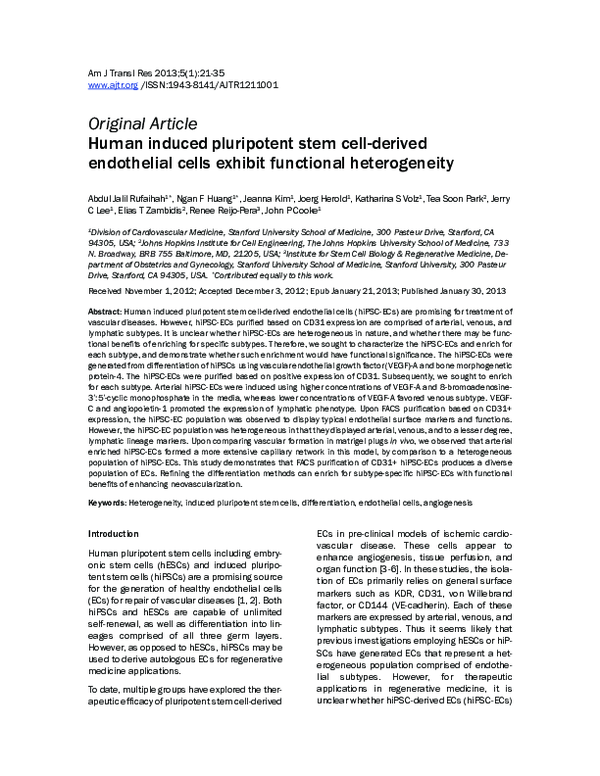 (PDF) Human induced pluripotent stem cell-derived endothelial cells ...