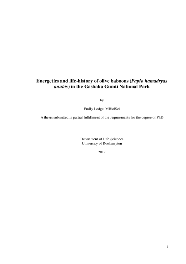 Roehampton research picture