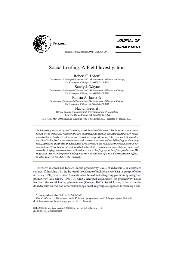 Social loafing study picture