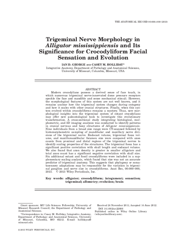 paper cover thumbnail