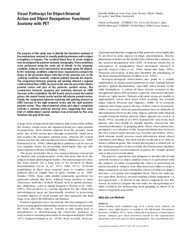 (PDF) Visual pathways for object-oriented action and object recognition ...