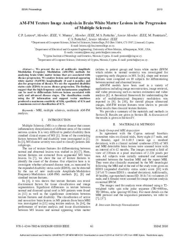 (PDF) AM-FM texture image analysis in brain white matter lesions in the ...
