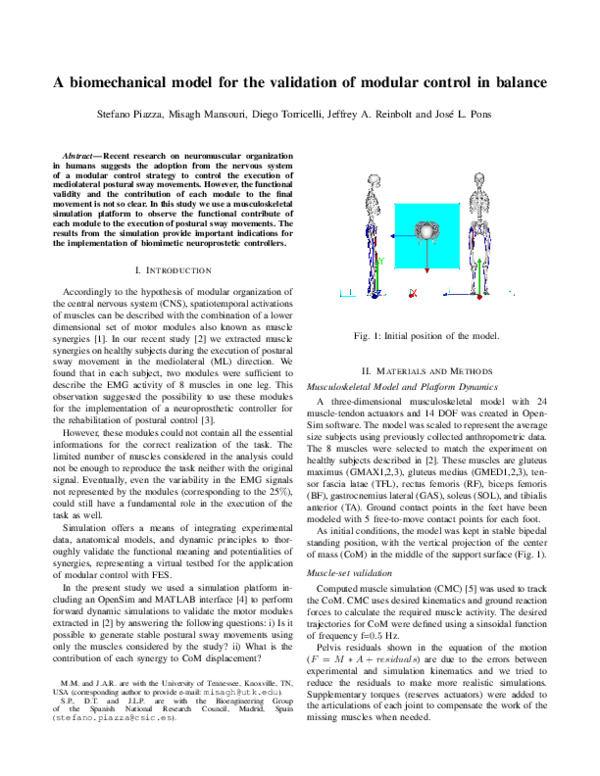 (PDF) A biomechanical model for the validation of modular control in ...