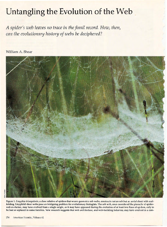 (PDF) Untangling the evolution of the web