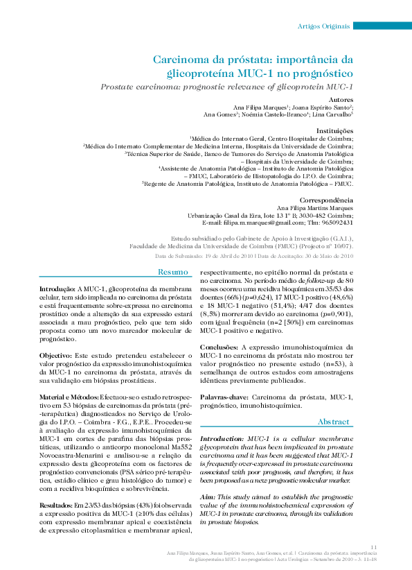 anatomia da prostata pdf