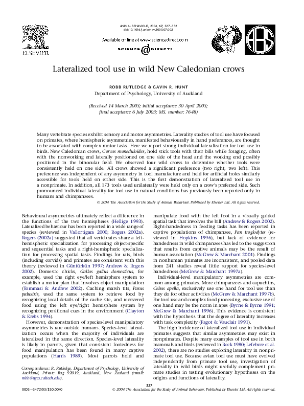 (PDF) Lateralized tool use in wild New Caledonian crows