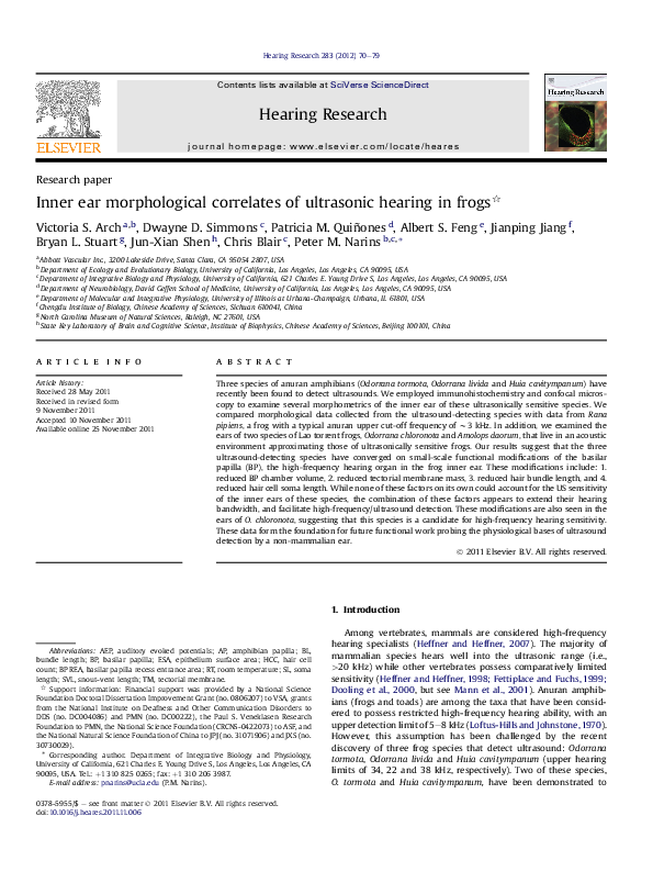 (PDF) Inner ear morphological correlates of ultrasonic hearing in frogs