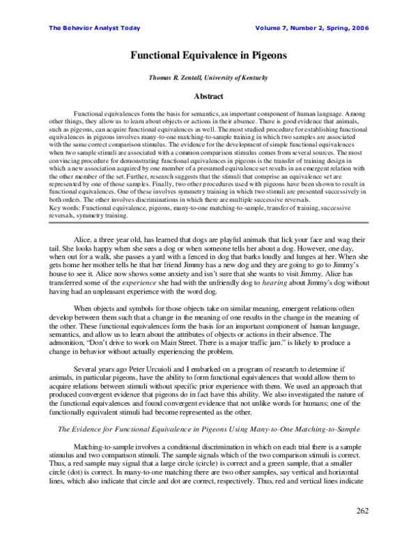 Functional equivalence theory in translation picture