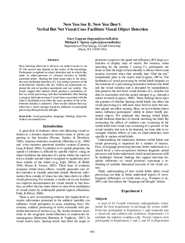 Visual cues essay 07 image