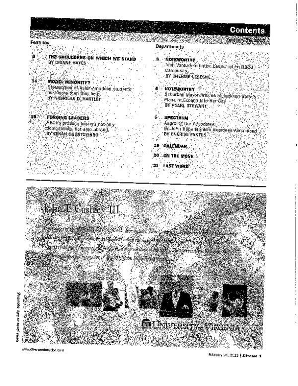 Model minority thesis picture