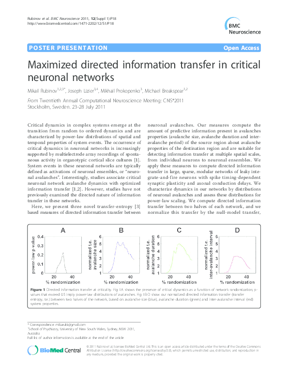 (PDF) Maximized directed information transfer in critical neuronal networks