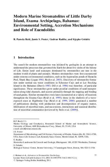 Bahamian environment essay 07 image