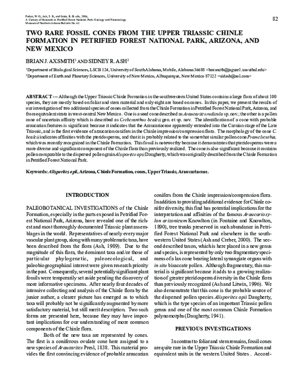 (PDF) Two rare fossil cones from the Upper Triassic Chinle Formation in ...