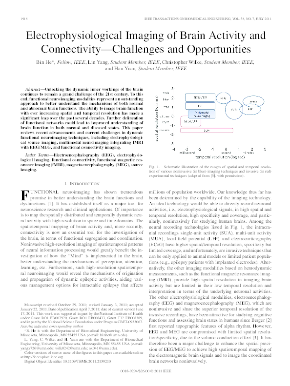 (PDF) Electrophysiological imaging of brain activity and connectivity ...