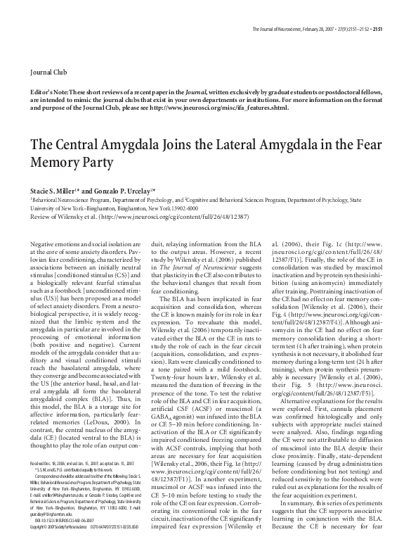 (PDF) The central amygdala joins the lateral amygdala in the fear ...