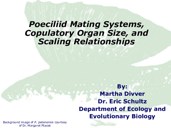 (PDF) Poeciliid Mating Systems, Copulatory Organ Size, and Scaling ...