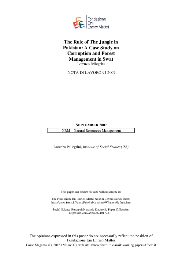 Corruption in pakistan essay picture