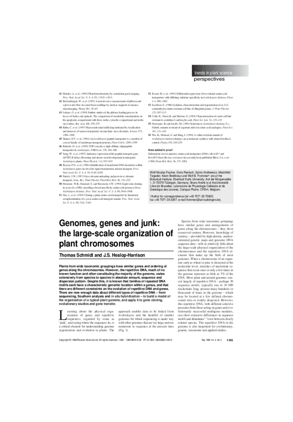 (PDF) Genomes, genes and junk: the large-scale organization of plant ...