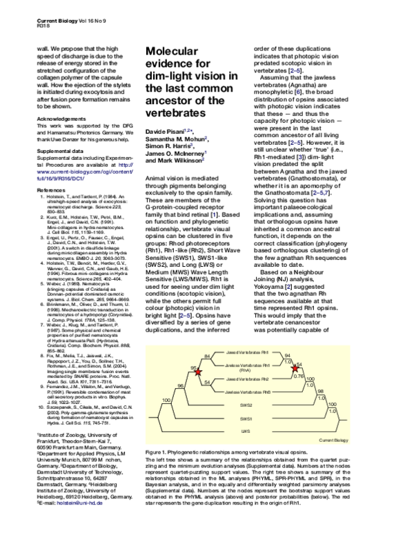 (PDF) Molecular evidence for dim-light vision in the last common ...