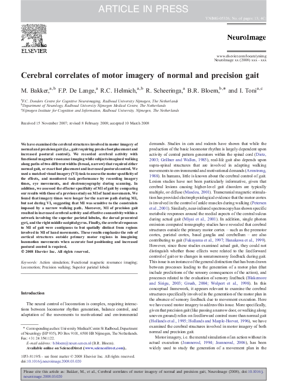 (PDF) Cerebral correlates of motor imagery of normal and precision gait