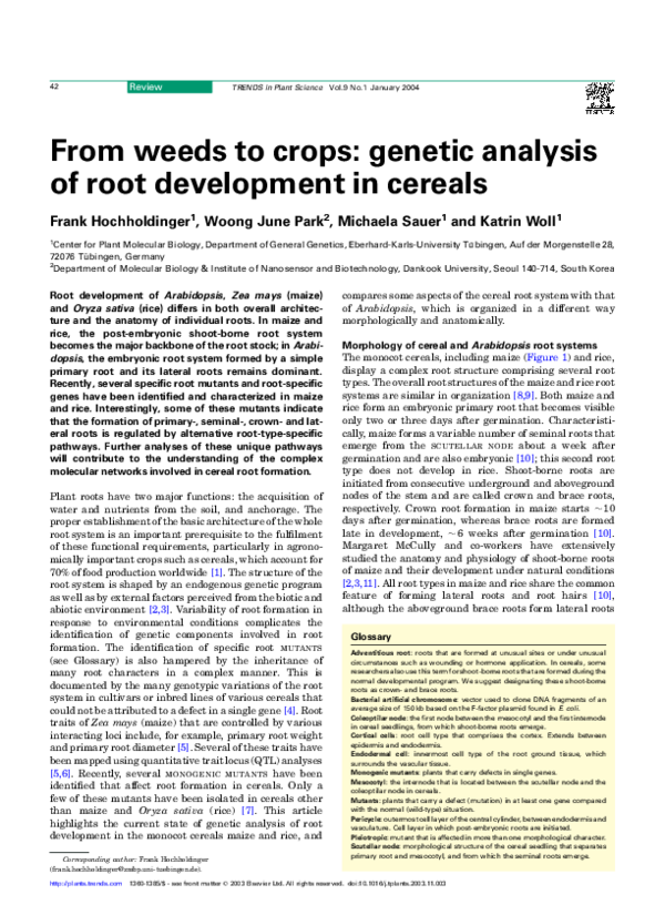 (PDF) From weeds to crops: genetic analysis of root development in cereals
