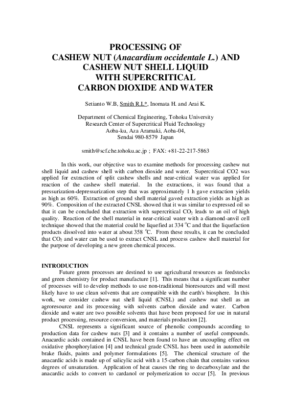 Cashew nut essay picture