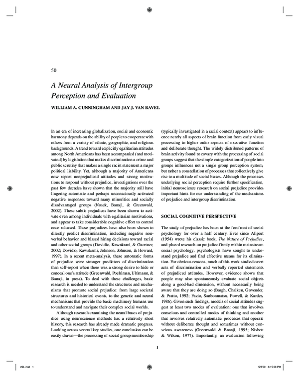 (PDF) A neural analysis of intergroup perception and evaluation