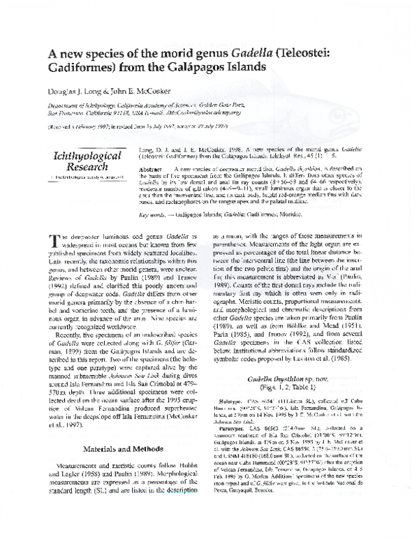 (PDF) A new species of the morid genus Gadella (Teleostei: Gadiformes ...