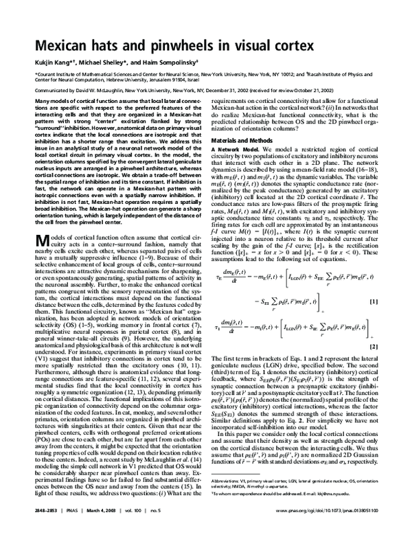 (PDF) Mexican Hats and Pinwheels in Visual Cortex