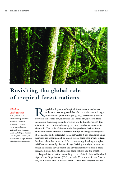 (PDF) Revisiting the global role of tropical forest nations