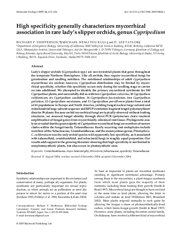 Cypripedium essay 04 image