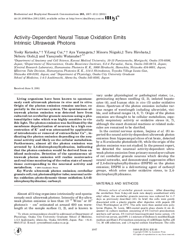 Neural tissue is specialized to image