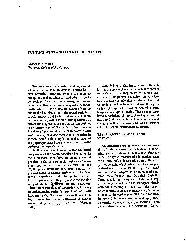 Pub wetland definition picture