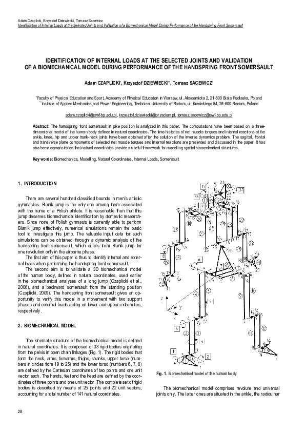 Somersault essay image