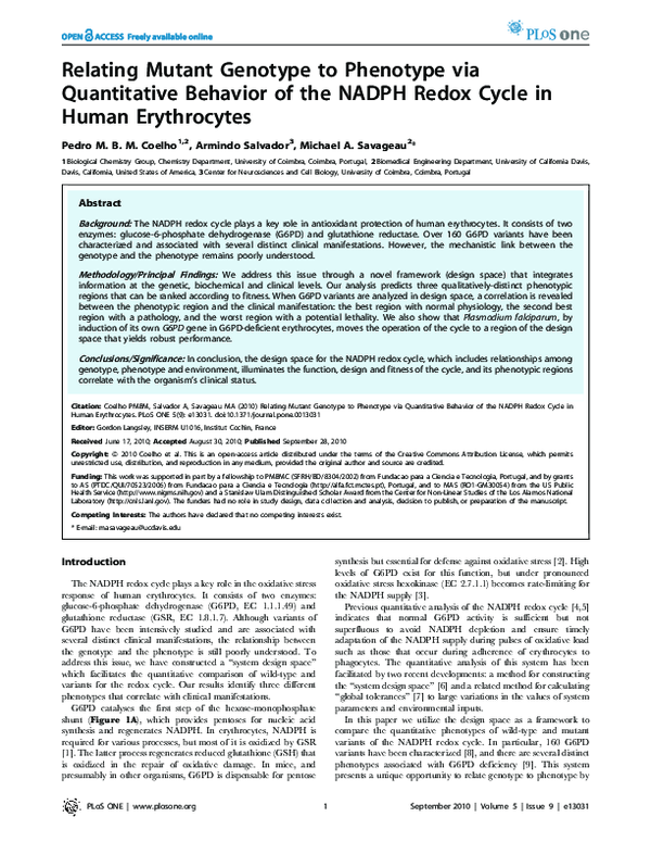 nadph reduced glutathione Pentose Phosphate Pathway and Nicotinamide Adenine Dinucleotide Phosphate main image 1