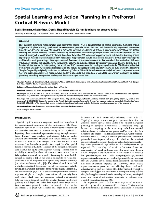 (PDF) Spatial Learning and Action Planning in a Prefrontal Cortical ...