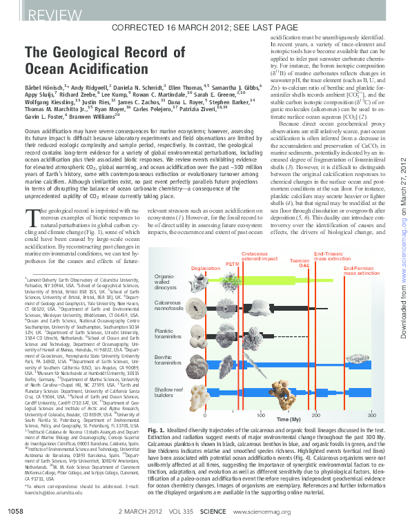 (PDF) The geological record of ocean acidification