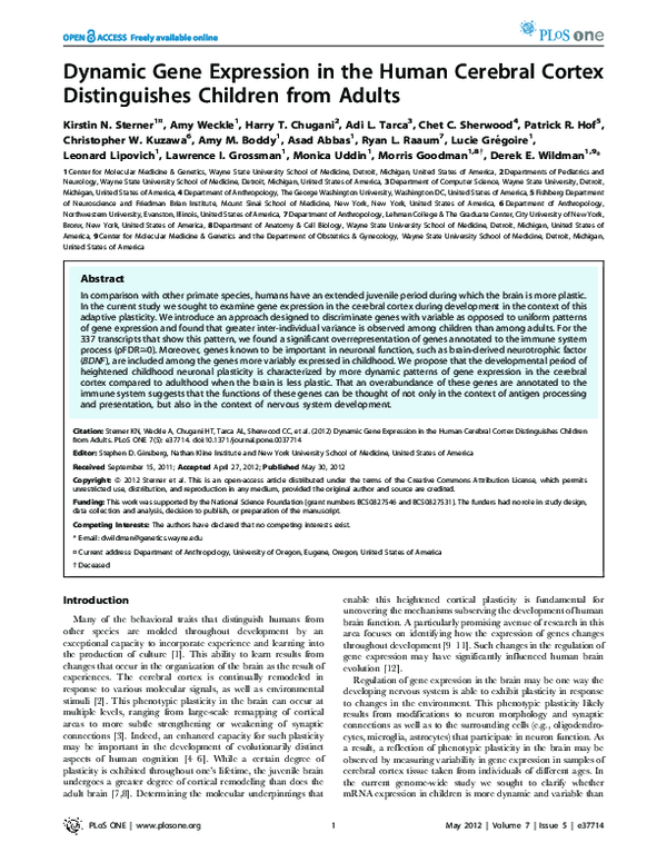 (PDF) Dynamic Gene Expression in the Human Cerebral Cortex ...