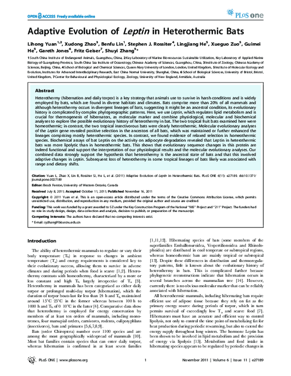 (PDF) Adaptive evolution of Leptin in heterothermic bats