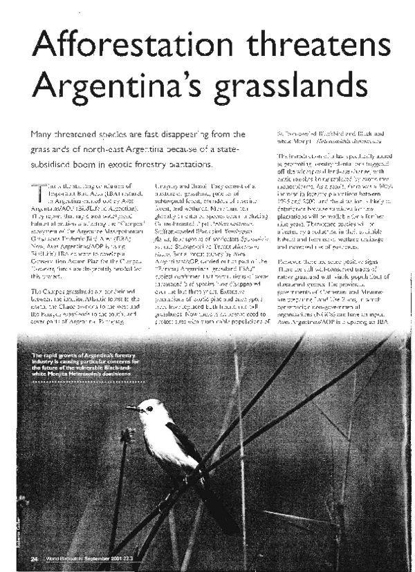 Afforestation essay pdf picture