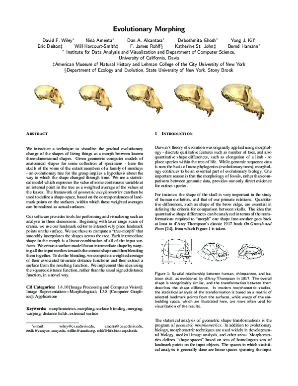 (PDF) Evolutionary morphing